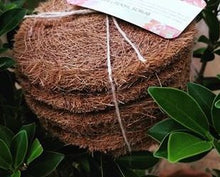 Load image into Gallery viewer, Coconut Coir Utensil Scrub bundle