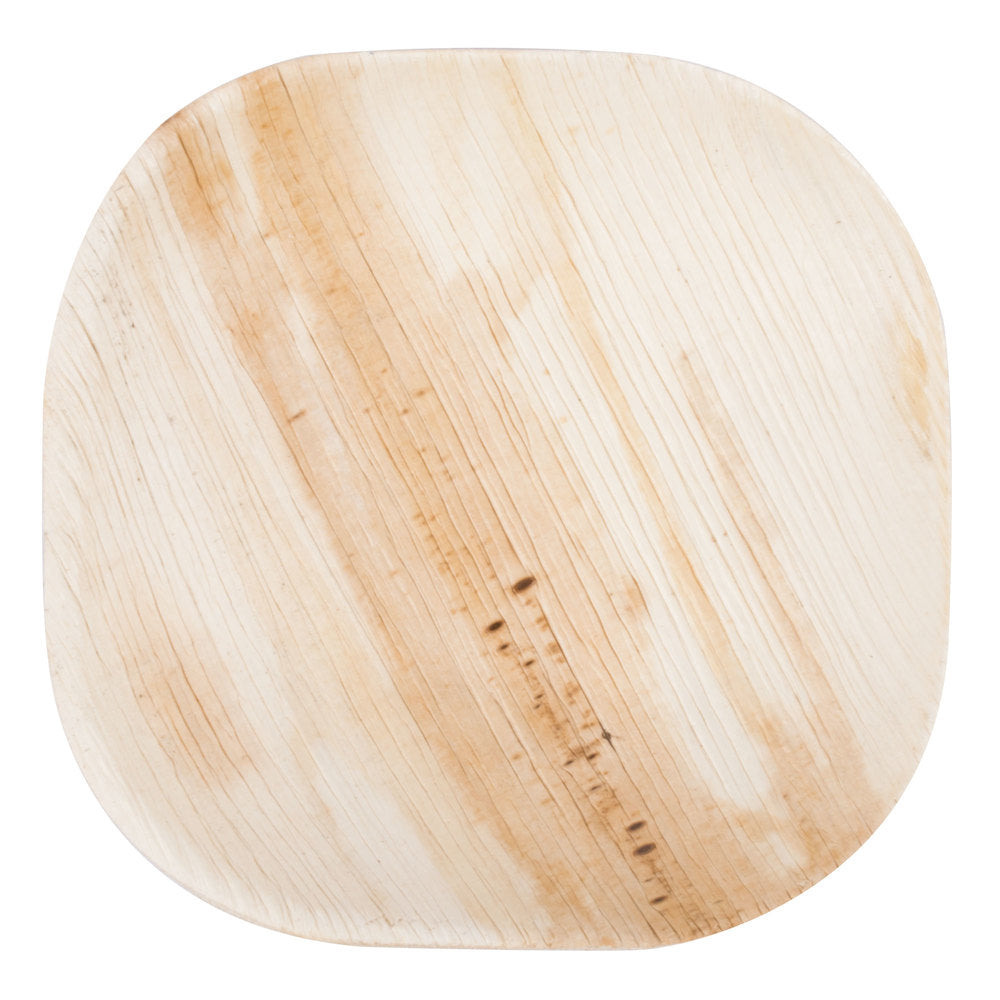bamboo plates square