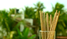 Load image into Gallery viewer, Leafy Straw - Coconut Palm Leaf Drinking Straws bundle