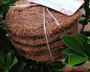 Coconut Coir Utensil Scrub bundle